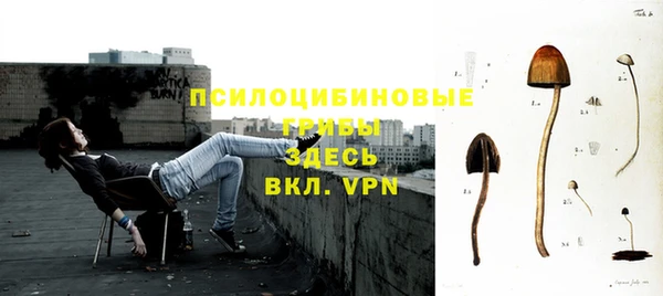 мяу мяу мука Алексин