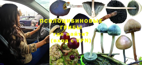мяу мяу мука Алексин